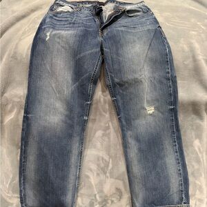 Daniel Cremieux Distressed Blue Jeans
